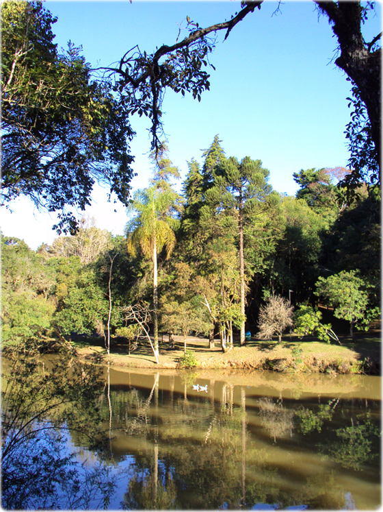 Barreirinha