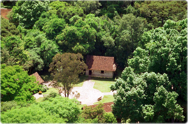 Bosque do Papa