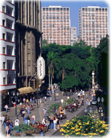 Centro Cidade Curitiba PR