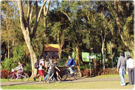 Curitiba