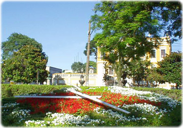 Estação das Flores