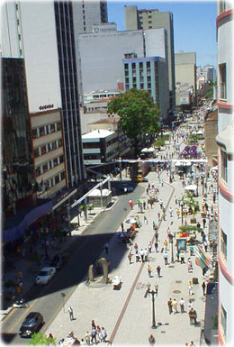 Flores Curitiba