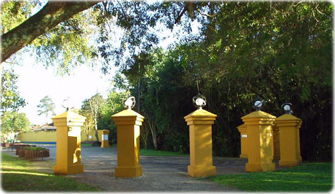 Pilares Lingua Portuguesa