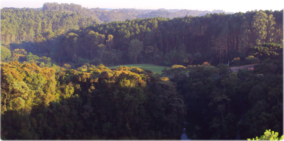 Reserva Ambiental