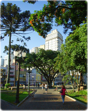 Verde Curitiba