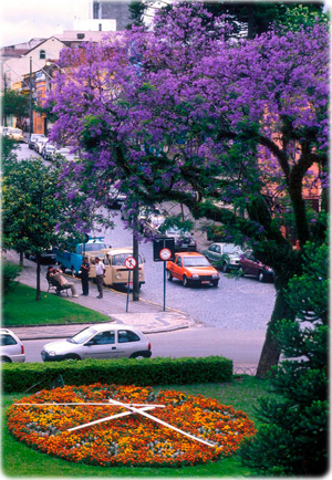 Relogio das Flores