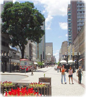 Rua das Flores