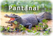 Pantanal