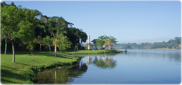 Augusta Curitiba
