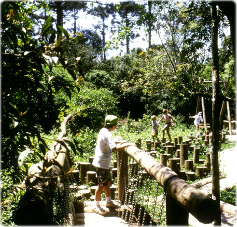 Bosque Hauer