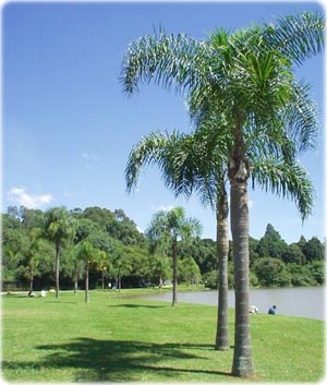 Parque Bacacheri