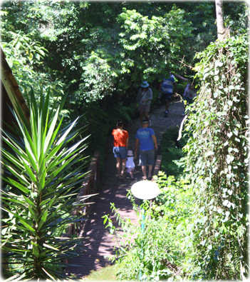 Bosque Alemão PR