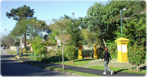 Bosque Area Lazer