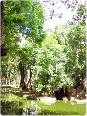 Passeio Público de Curitiba