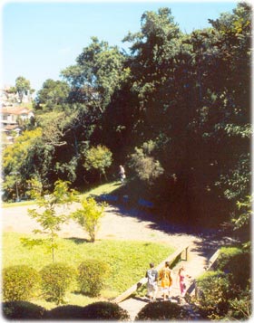Bosque Gutierrez em Curitiba Paraná