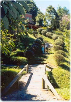 Bosque Gutierrez em Curitiba Paraná