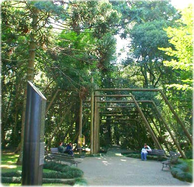 Bosque Capão da Imbuia – Museu de História Natural em Curitiba