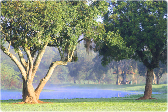 Inverno Curitiba