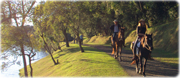 Passeio Cavalo