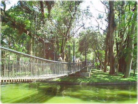 Passeio Público de Curitiba Paraná