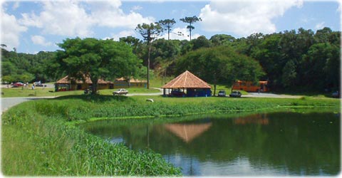 Parque do Iguaçu e Animais do Zoológico de Curitiba