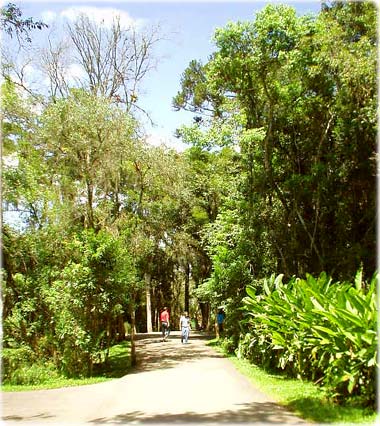Trilha do Zôo de Curitiba